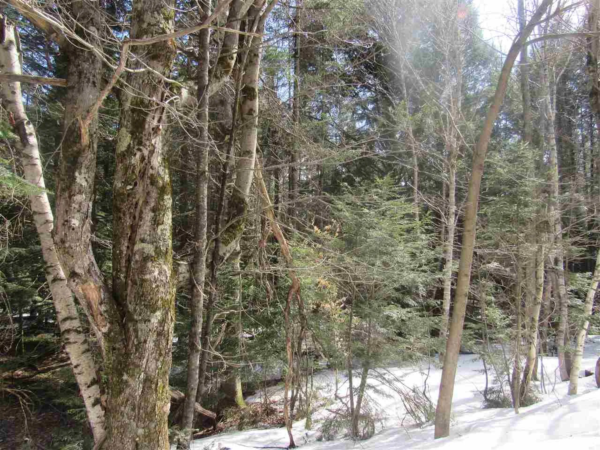 22 Wilderness Road Jay VT 05859