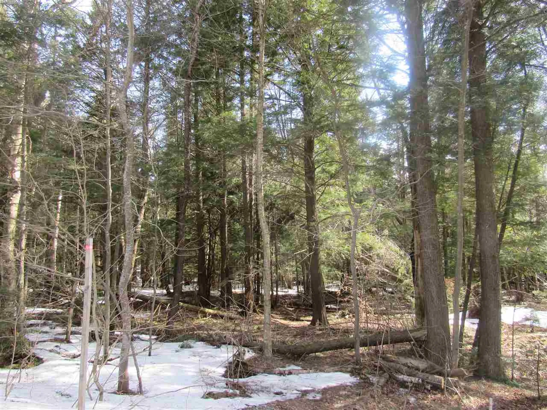 22 Wilderness Road Jay VT 05859