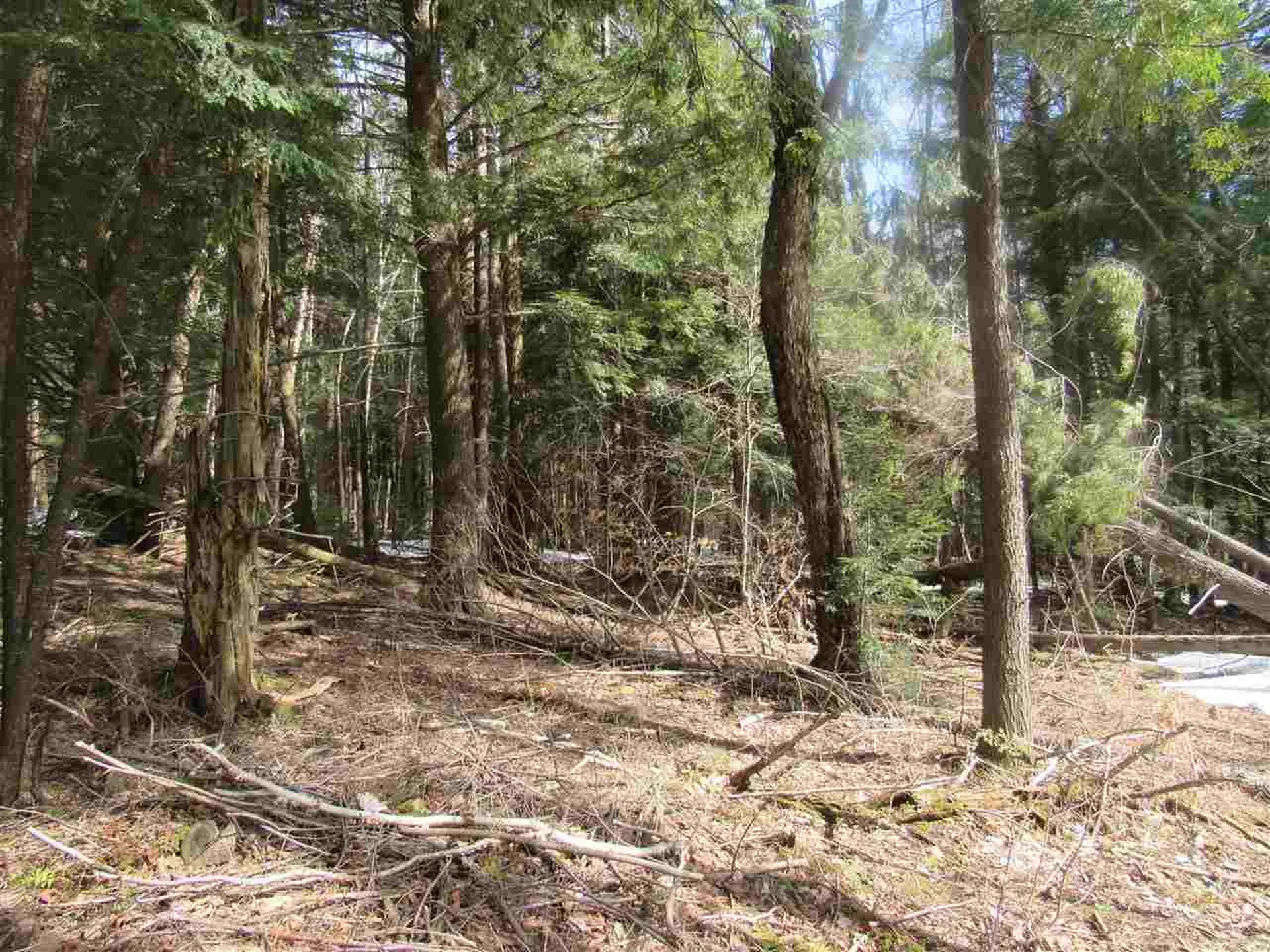22 Wilderness Road Jay VT 05859