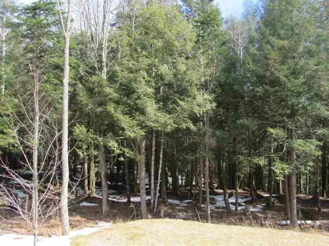 22 Wilderness Road Jay VT 05859