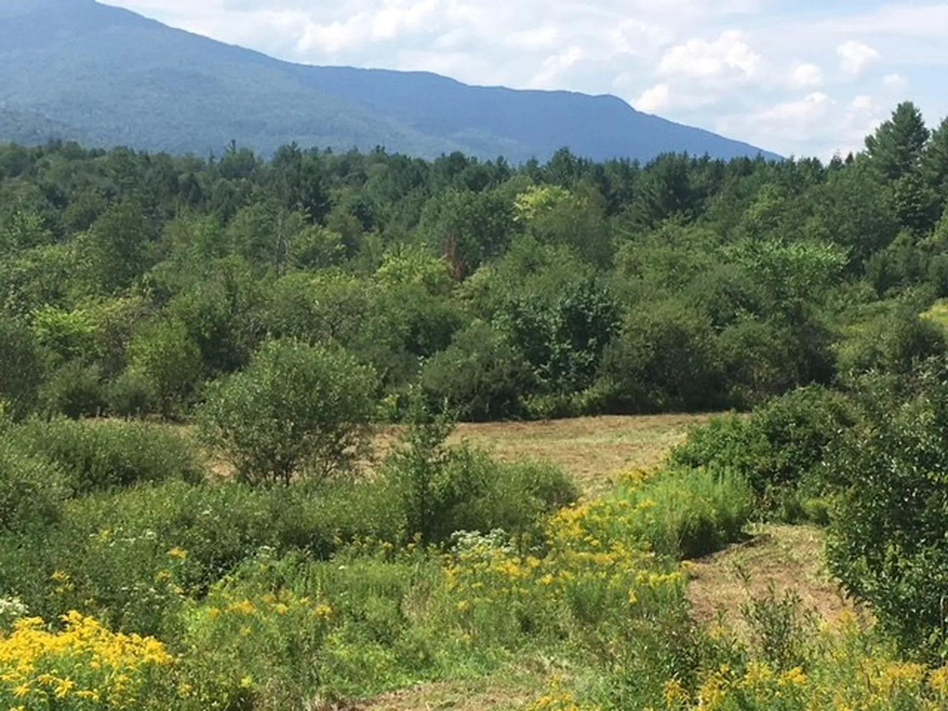 46 Plot Road Johnson VT 05656
