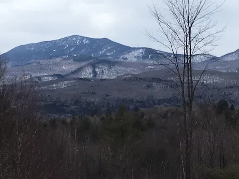 46 Plot Road Johnson VT 05656