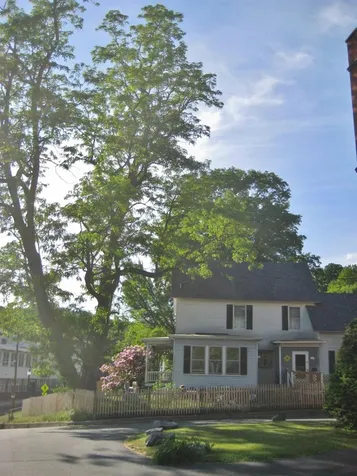 154 Main Street Springfield VT 05156