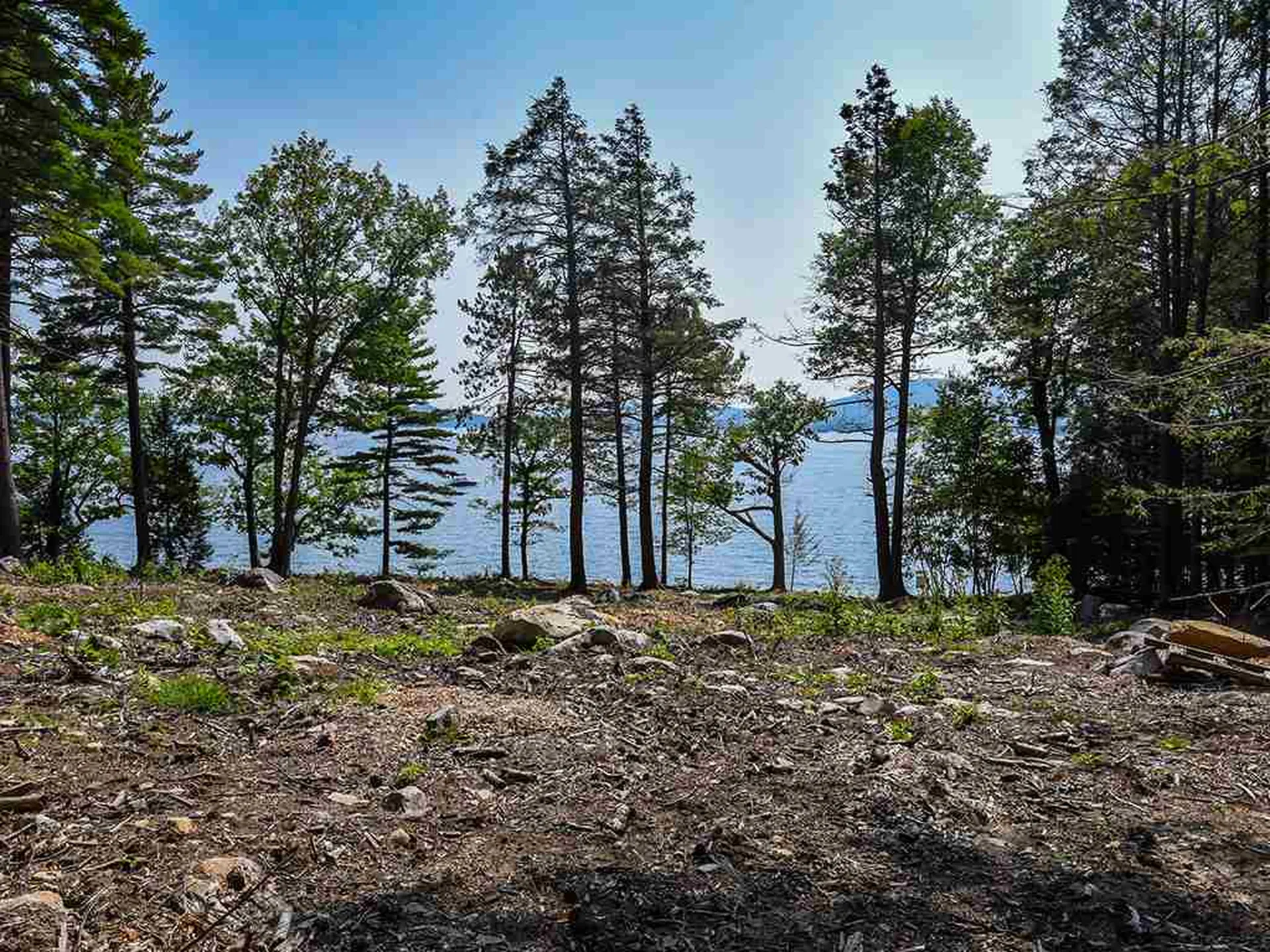 Spruce Road Wolfeboro NH 03894