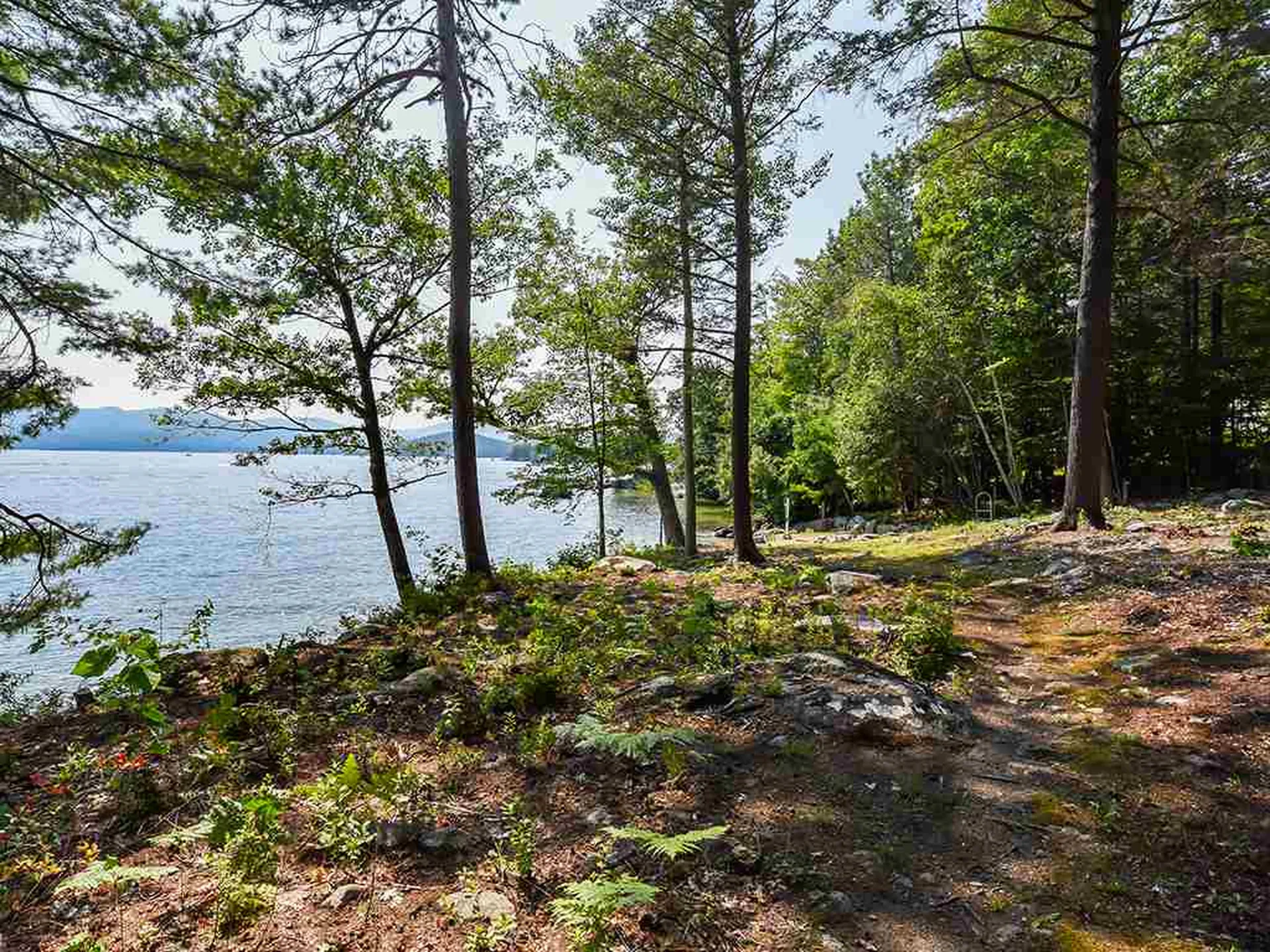 Spruce Road Wolfeboro NH 03894