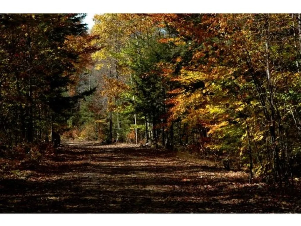 00 Abnaki Trail Campton NH 03223