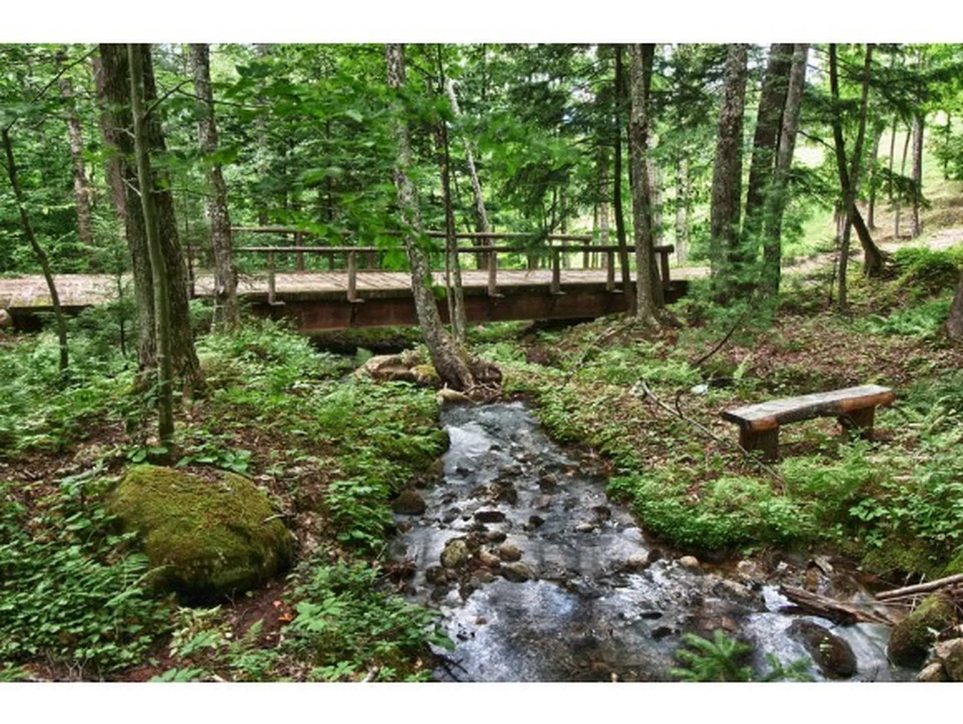 00 Abnaki Trail Campton NH 03223