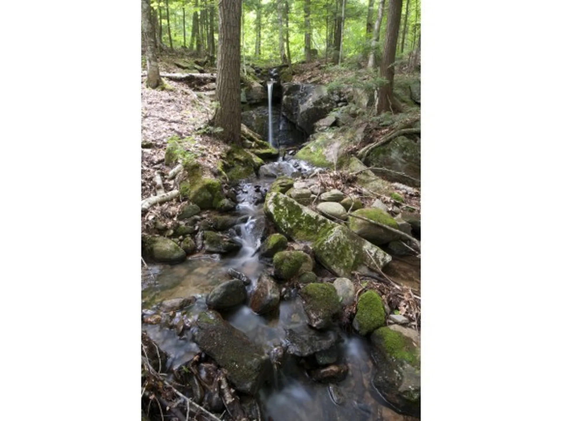 00 Abnaki Trail Campton NH 03223
