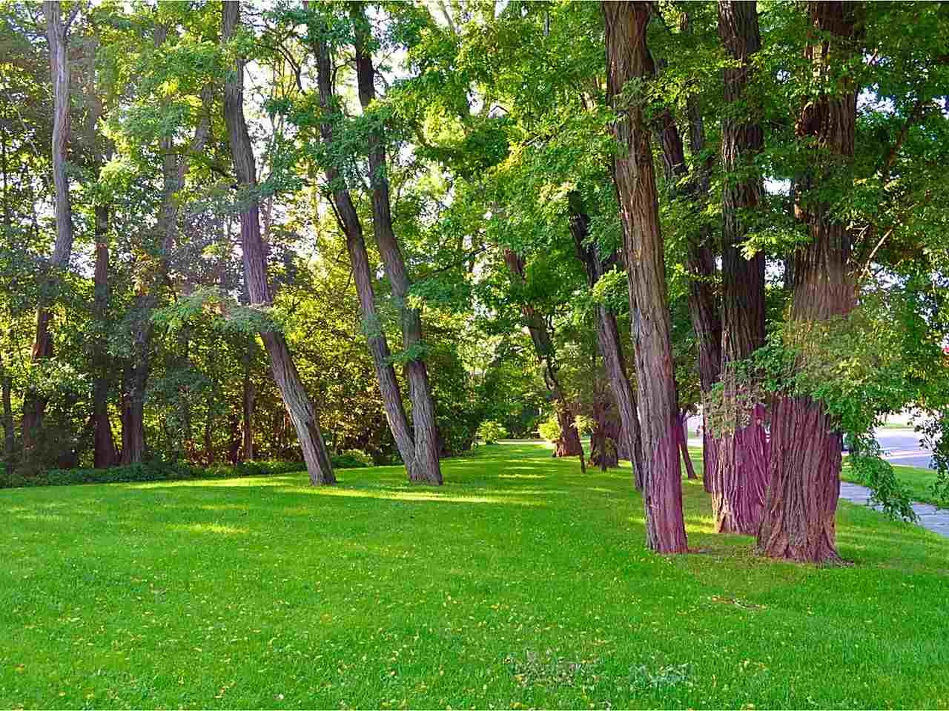 270 Shelburne Street Burlington VT 05401