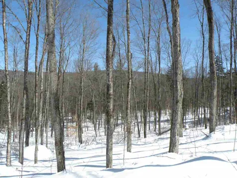 0 Mountain Road Moretown VT 05660