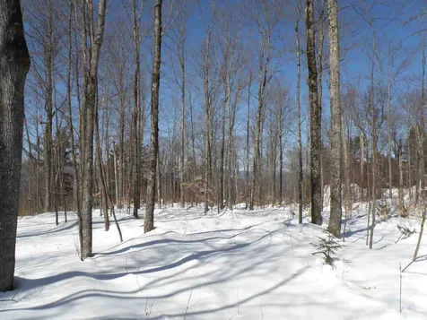 0 Mountain Road Moretown VT 05660