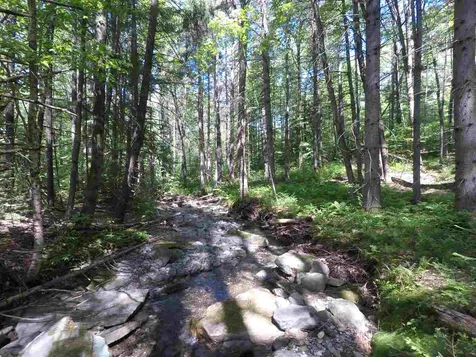 0 Mountain Road Moretown VT 05660