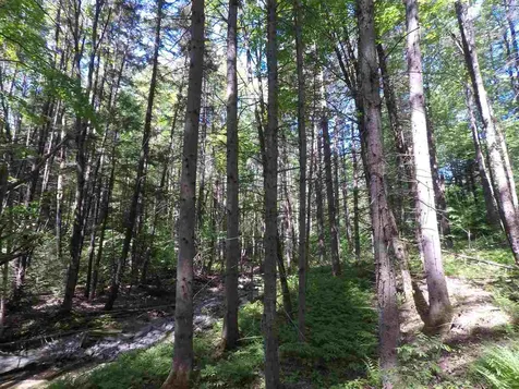 0 Mountain Road Moretown VT 05660
