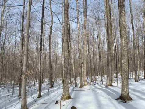 0 Mountain Road Moretown VT 05660
