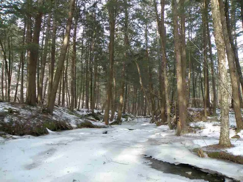 0 Mountain Road Moretown VT 05660