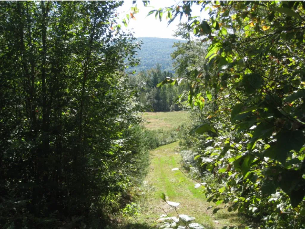 Route 105e, East Brighton Road Brighton VT 05846