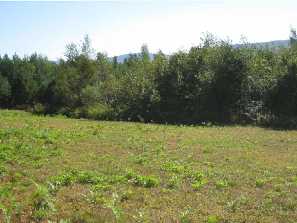 Route 105e, East Brighton Road Brighton VT 05846