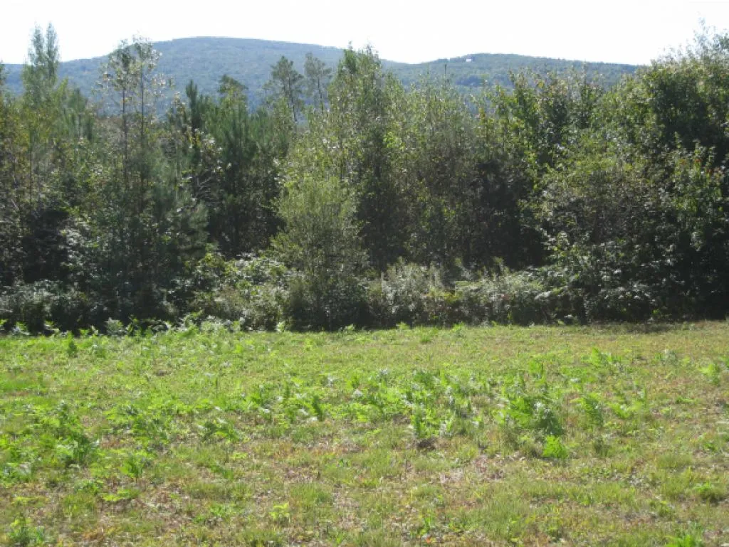 Route 105e, East Brighton Road Brighton VT 05846