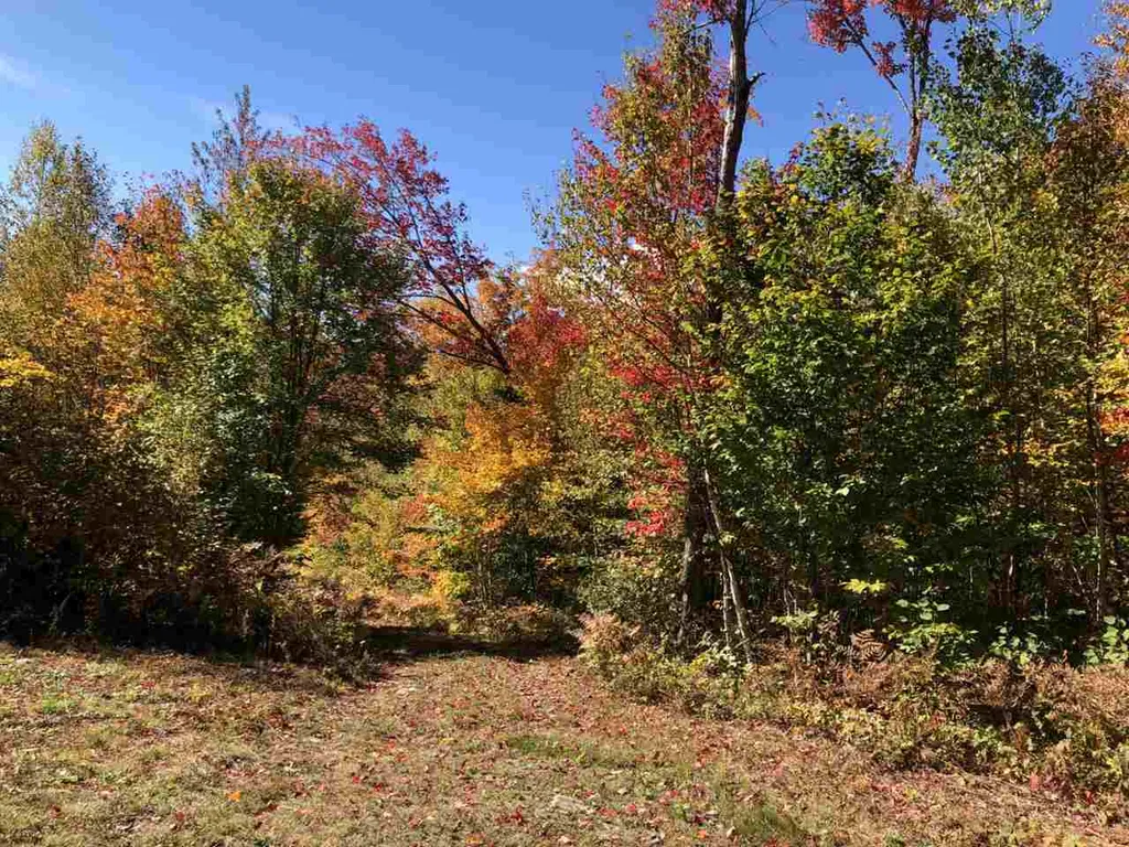 Route 105e, East Brighton Road Brighton VT 05846