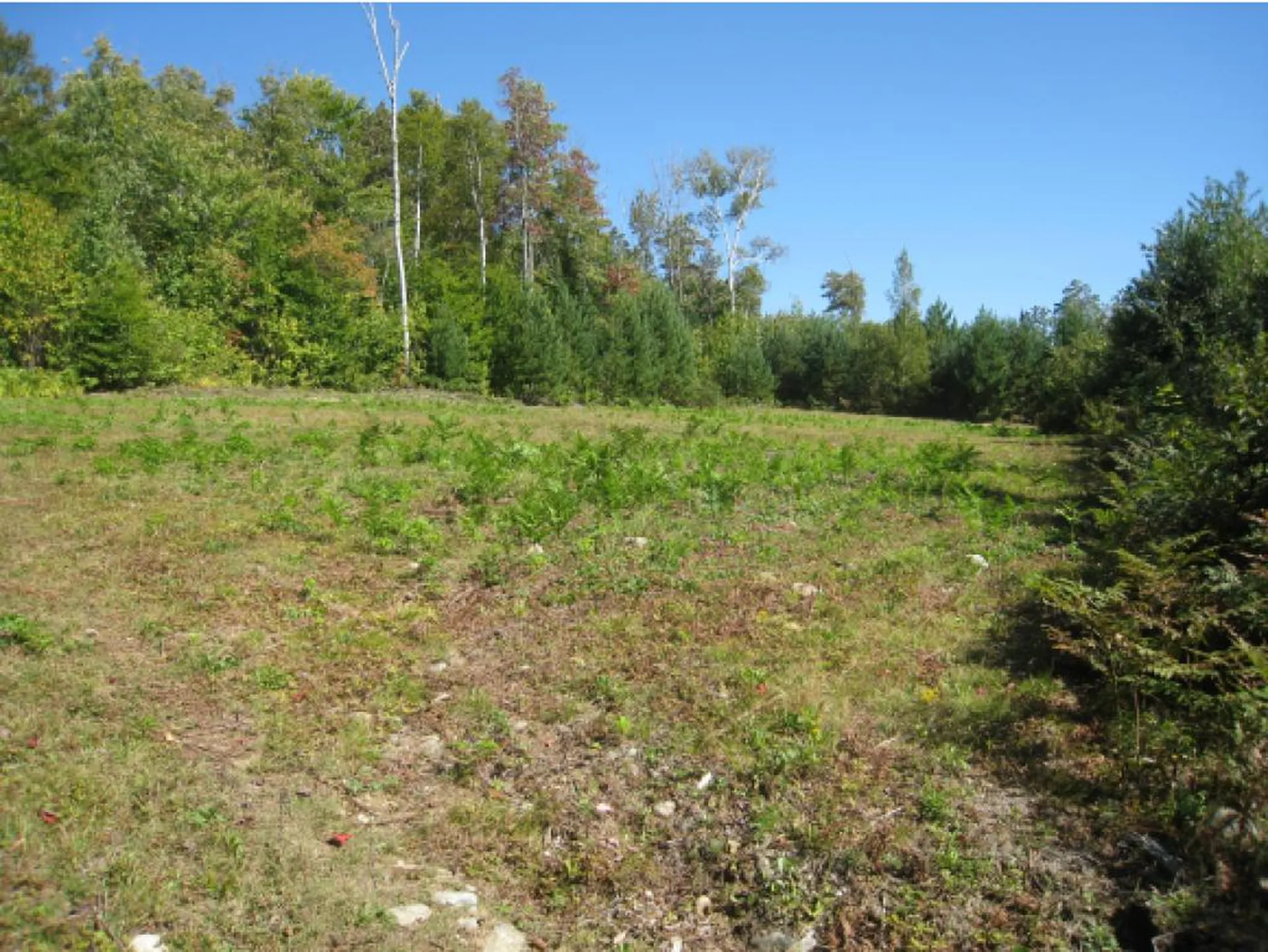 Route 105e, East Brighton Road Brighton VT 05846
