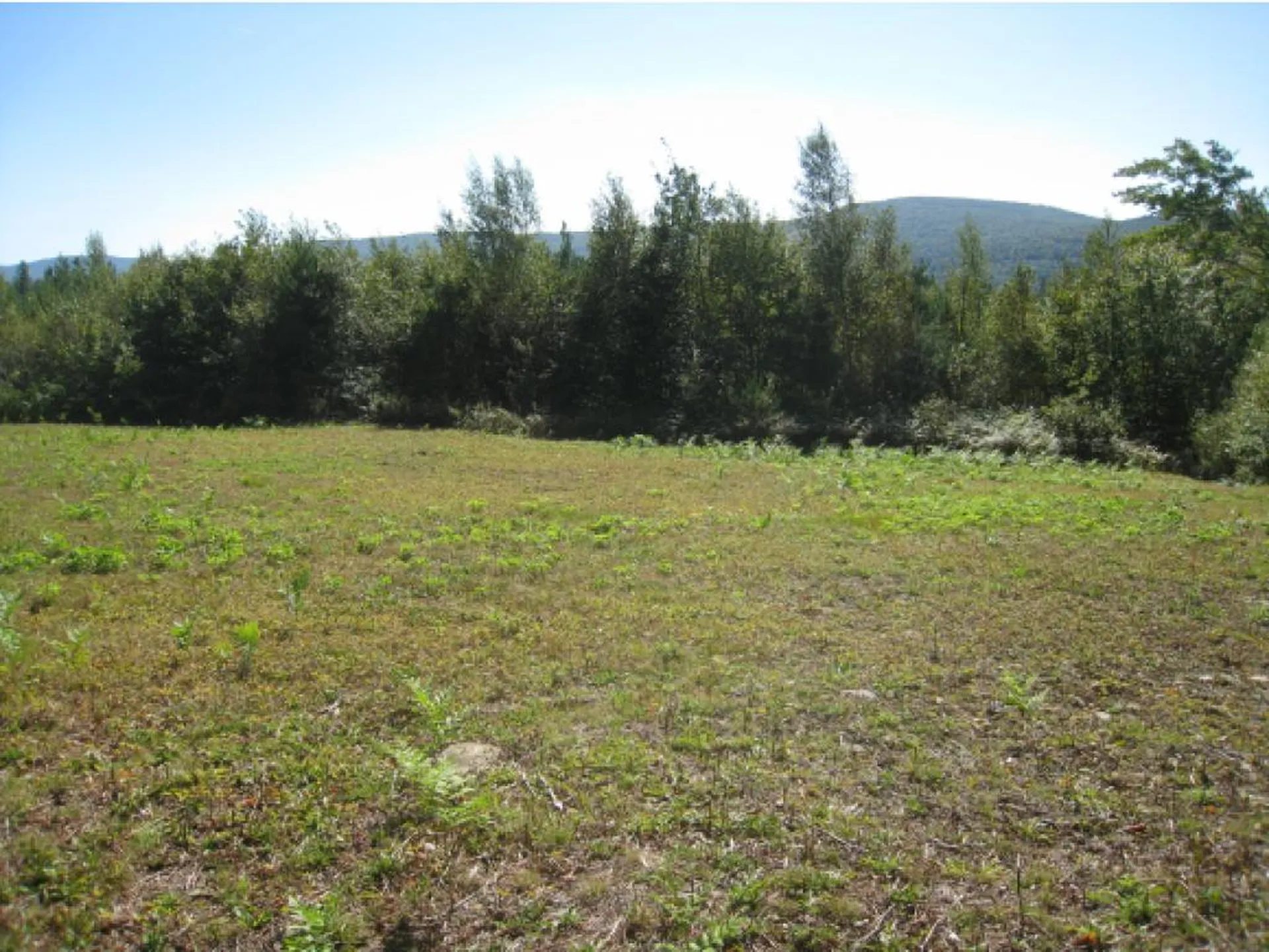 Route 105e, East Brighton Road Brighton VT 05846