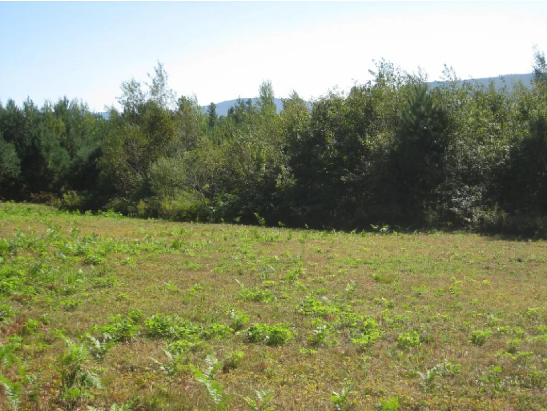 Route 105e, East Brighton Road Brighton VT 05846