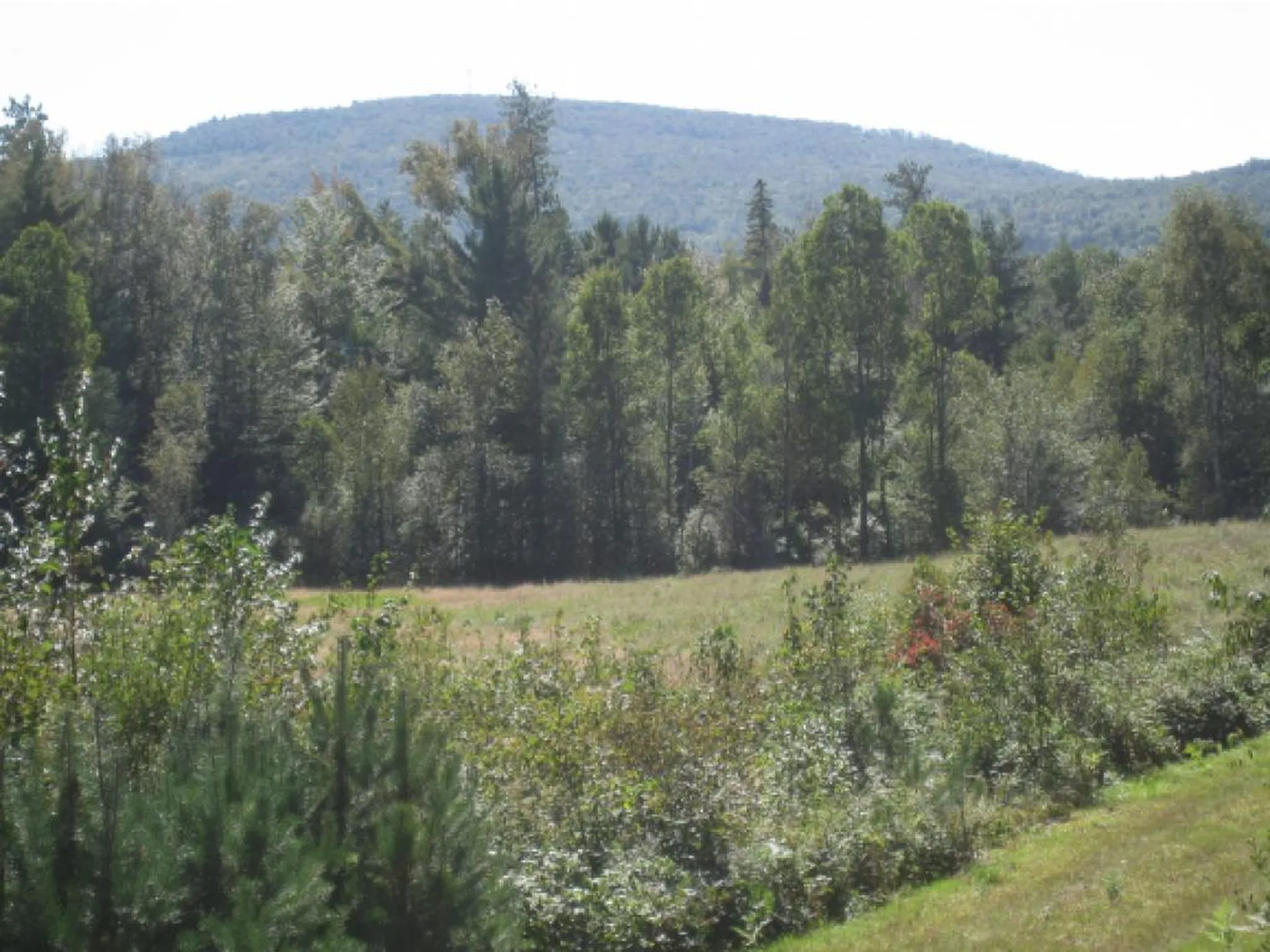 Route 105e, East Brighton Road Brighton VT 05846