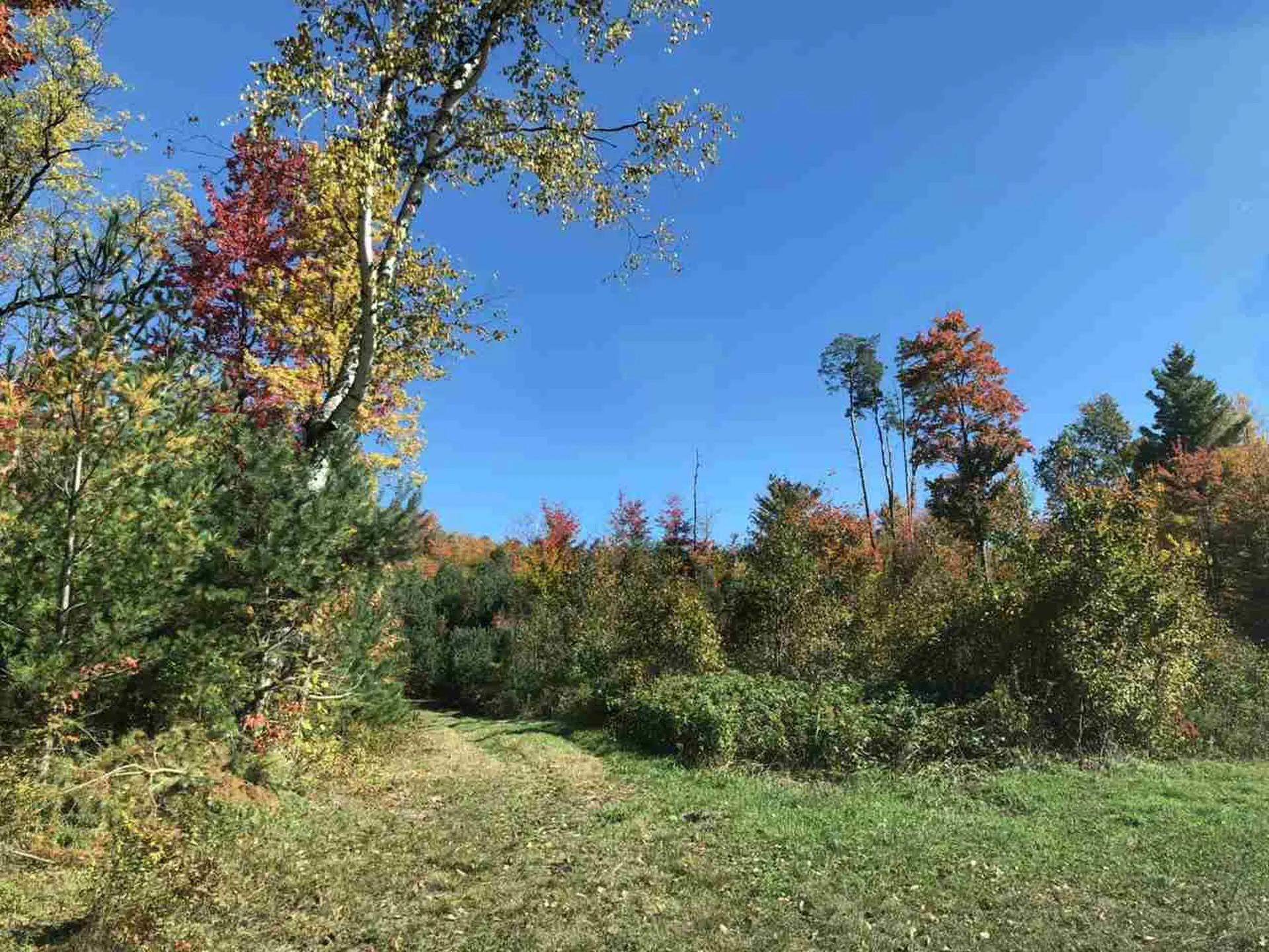 Route 105e, East Brighton Road Brighton VT 05846