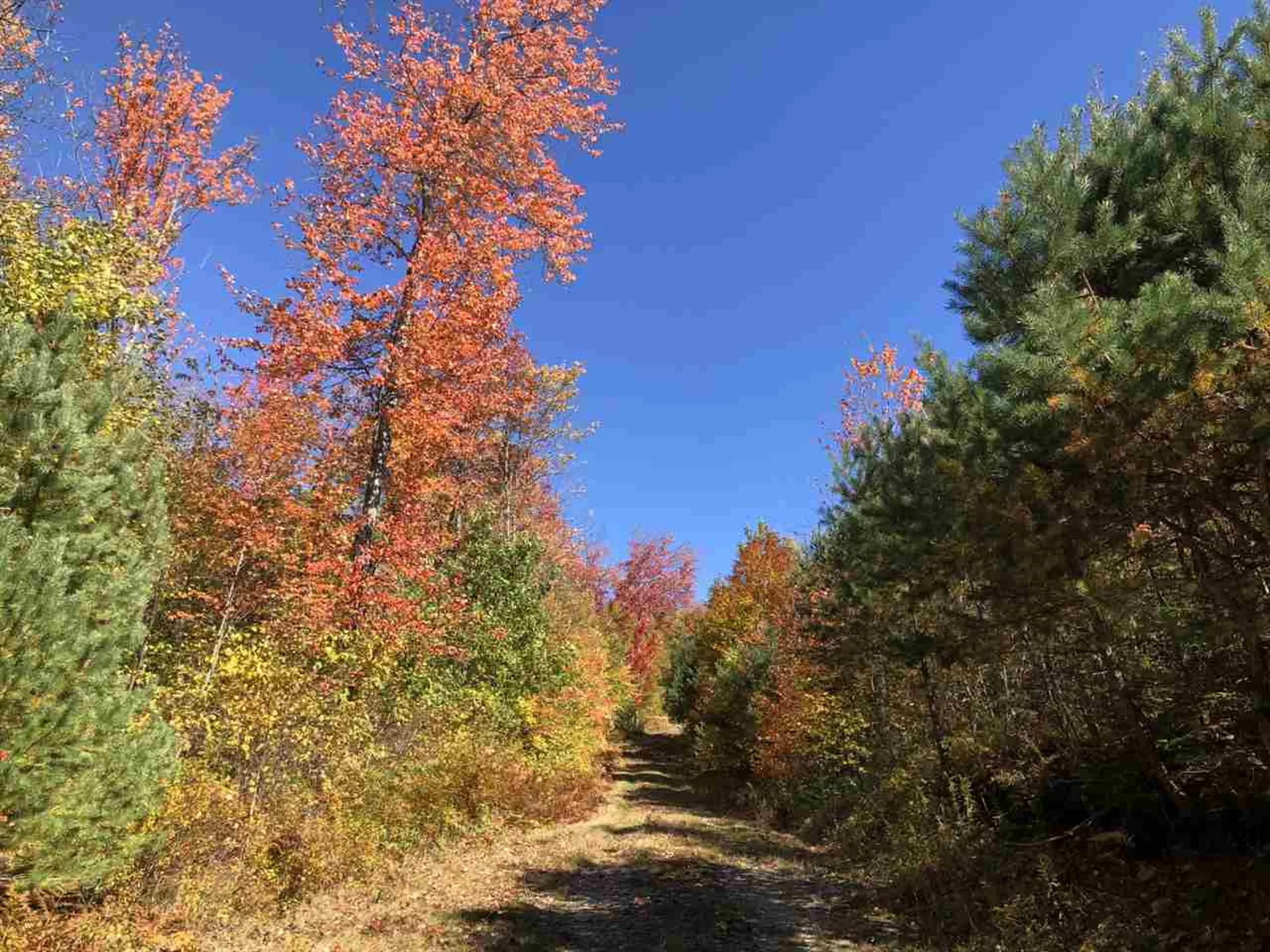Route 105e, East Brighton Road Brighton VT 05846