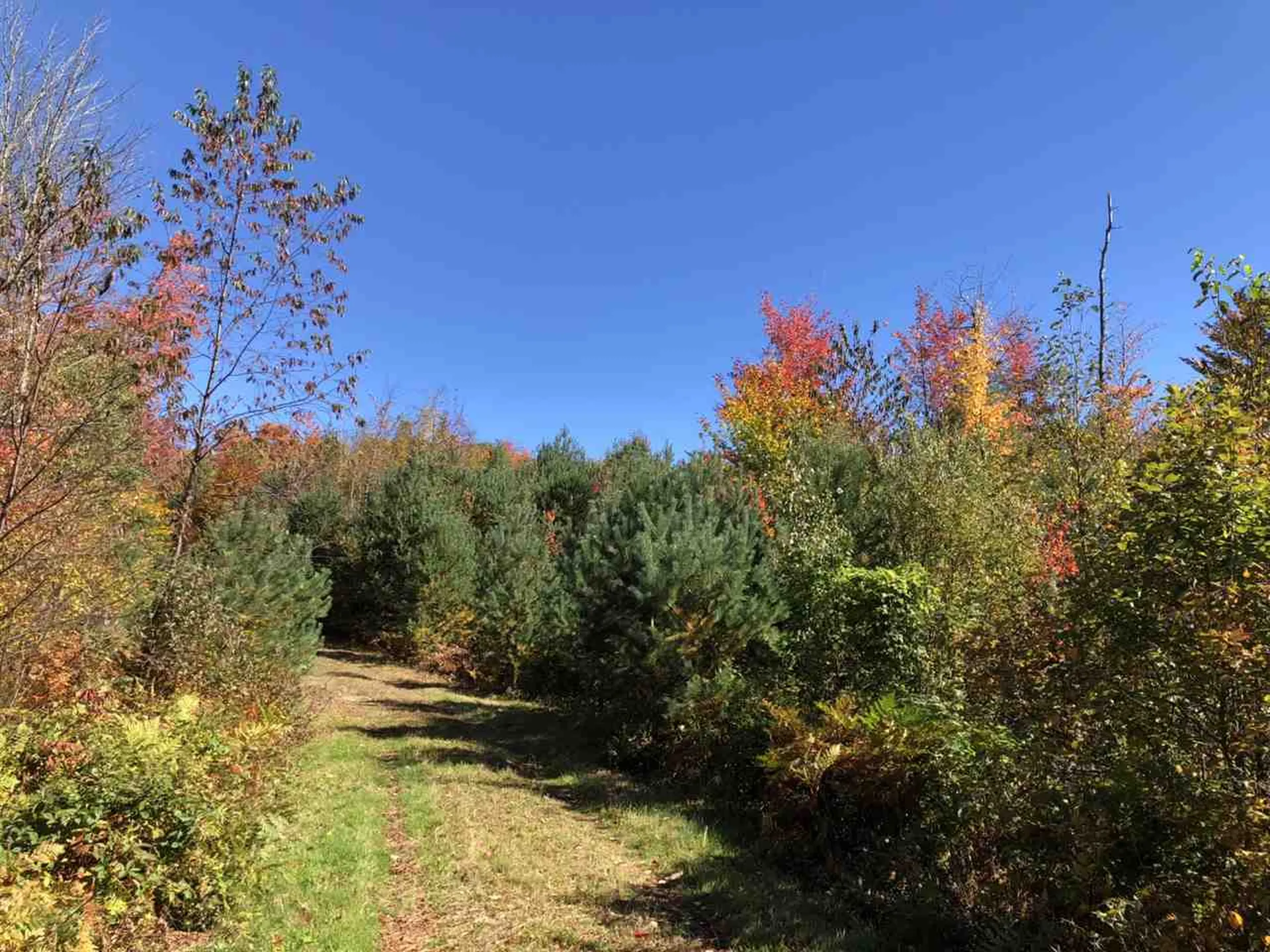 Route 105e, East Brighton Road Brighton VT 05846