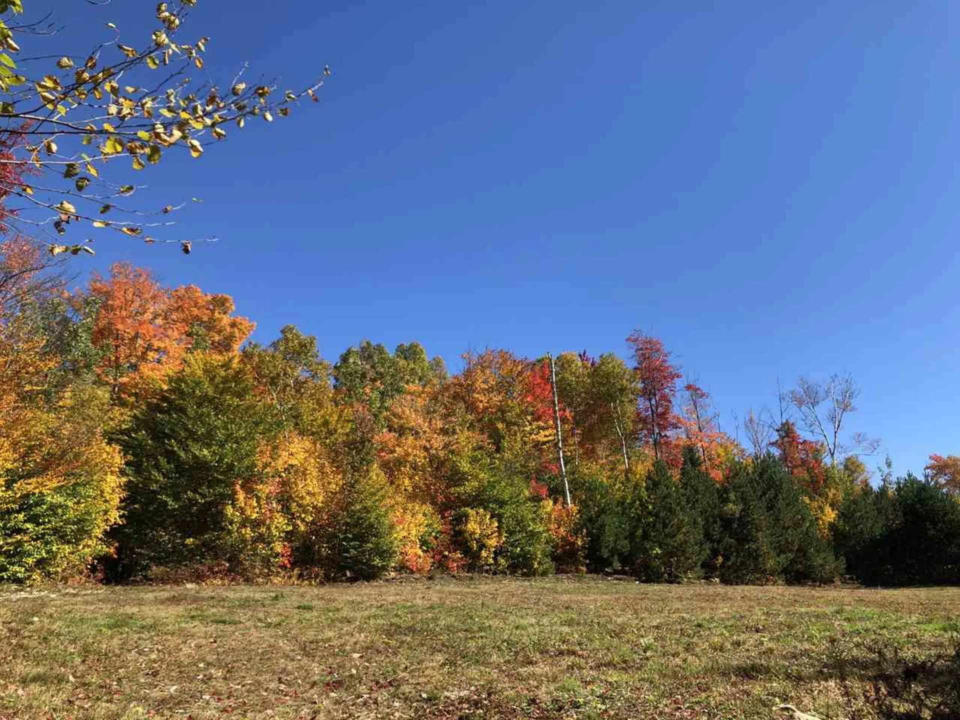 Route 105e, East Brighton Road Brighton VT 05846
