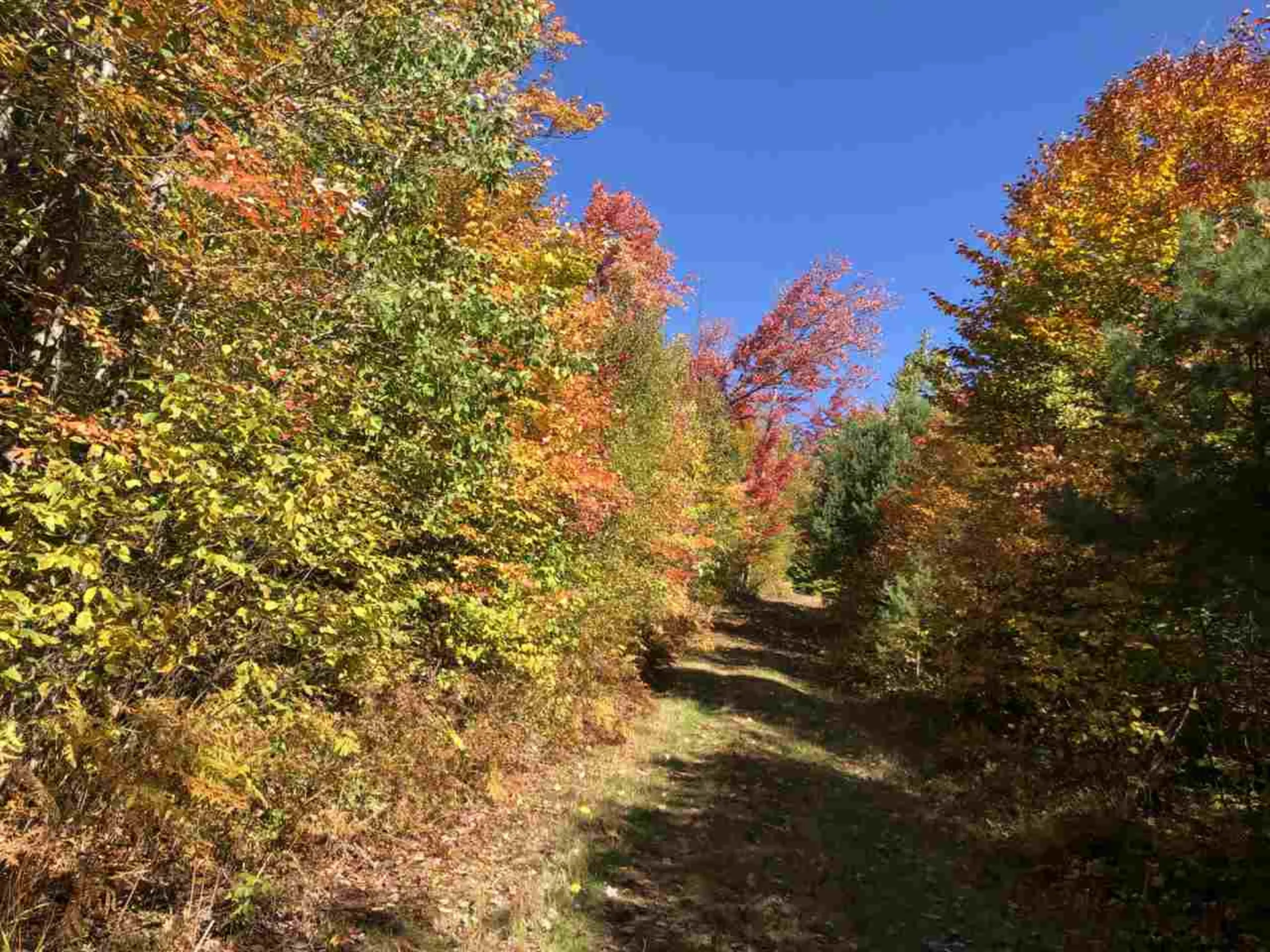 Route 105e, East Brighton Road Brighton VT 05846