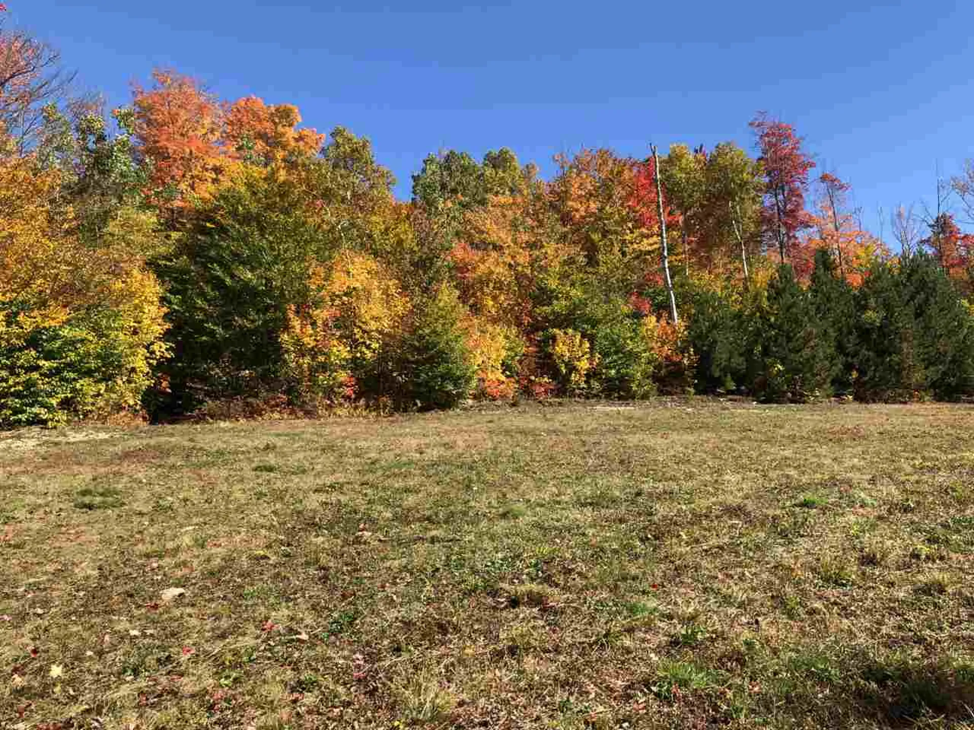 Route 105e, East Brighton Road Brighton VT 05846