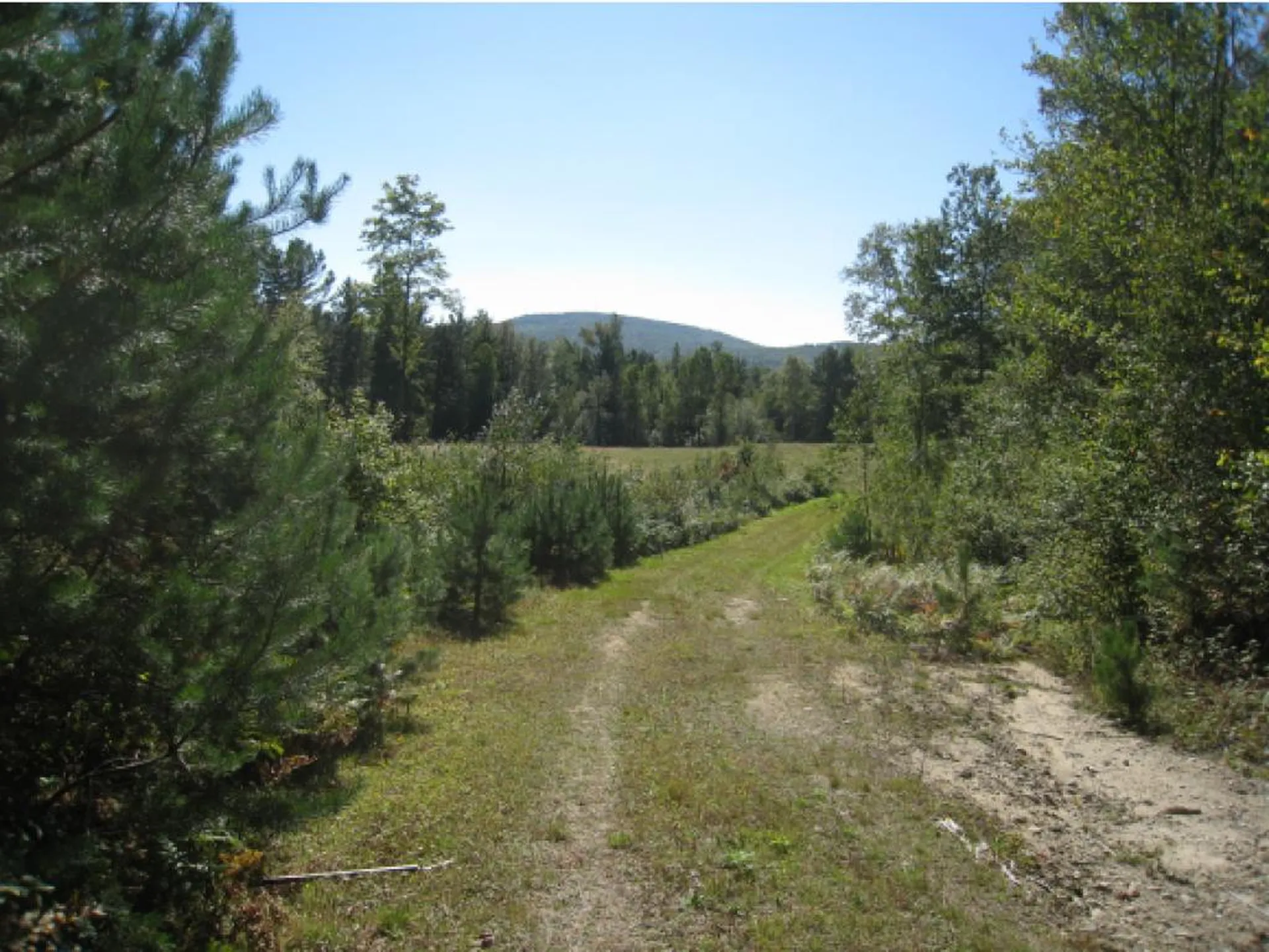 Route 105e, East Brighton Road Brighton VT 05846