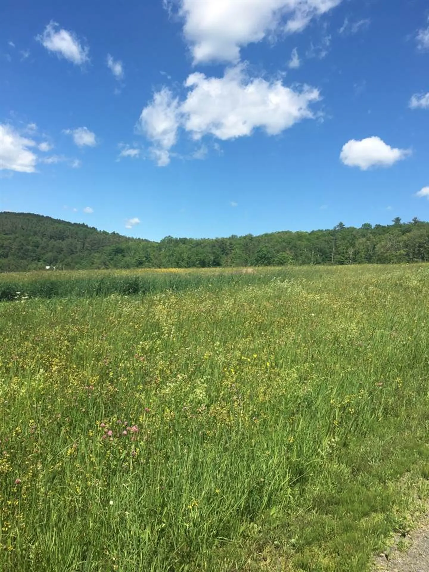 00 Vt Route 132 Sharon VT 05065
