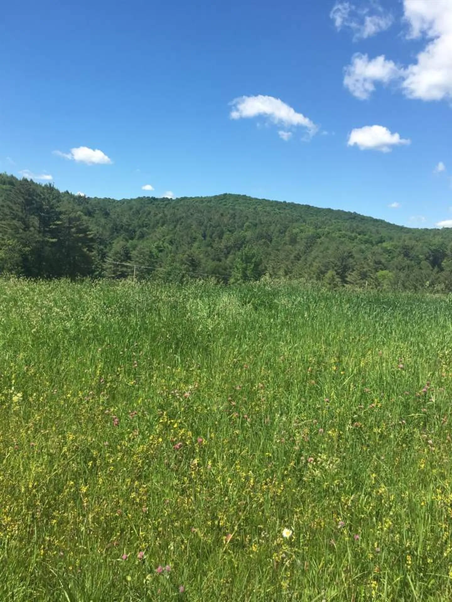 00 Vt Route 132 Sharon VT 05065