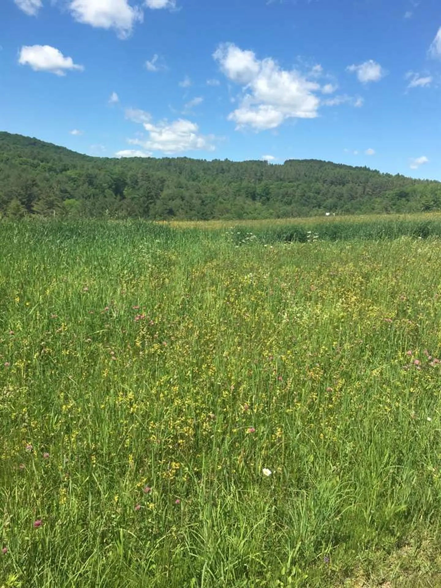 00 Vt Route 132 Sharon VT 05065