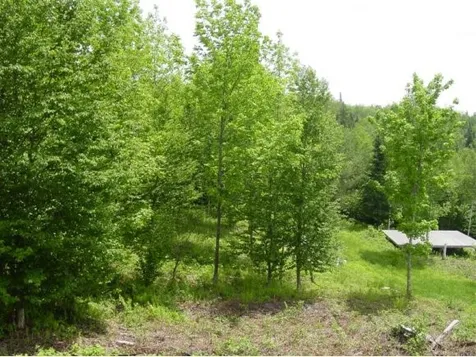 1066 Burbank Road Albany VT 05820