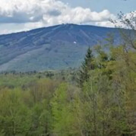 7 Forest Heights Road Stratton VT 05360