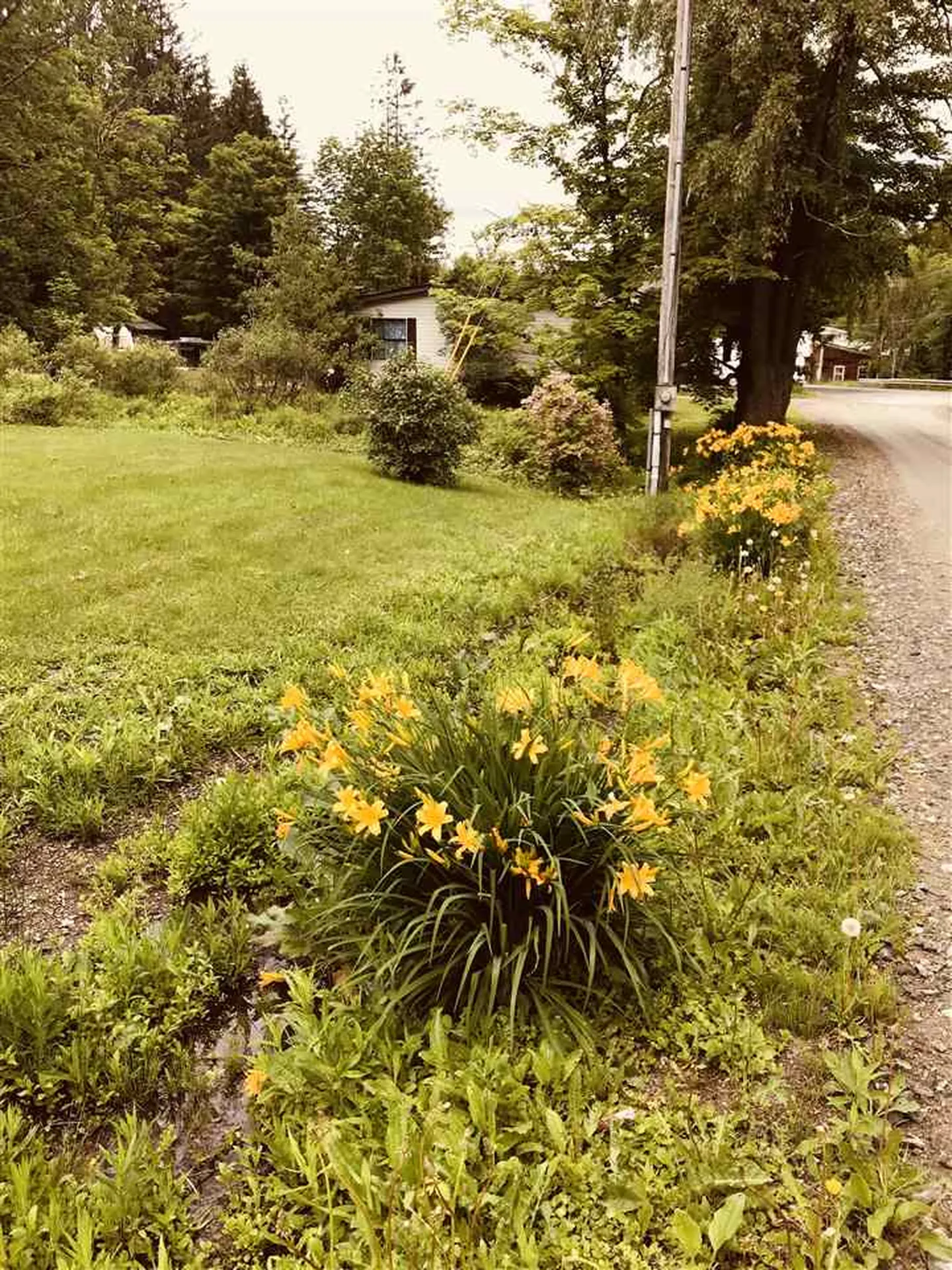 54 Holbrook Road Whitingham VT 05361