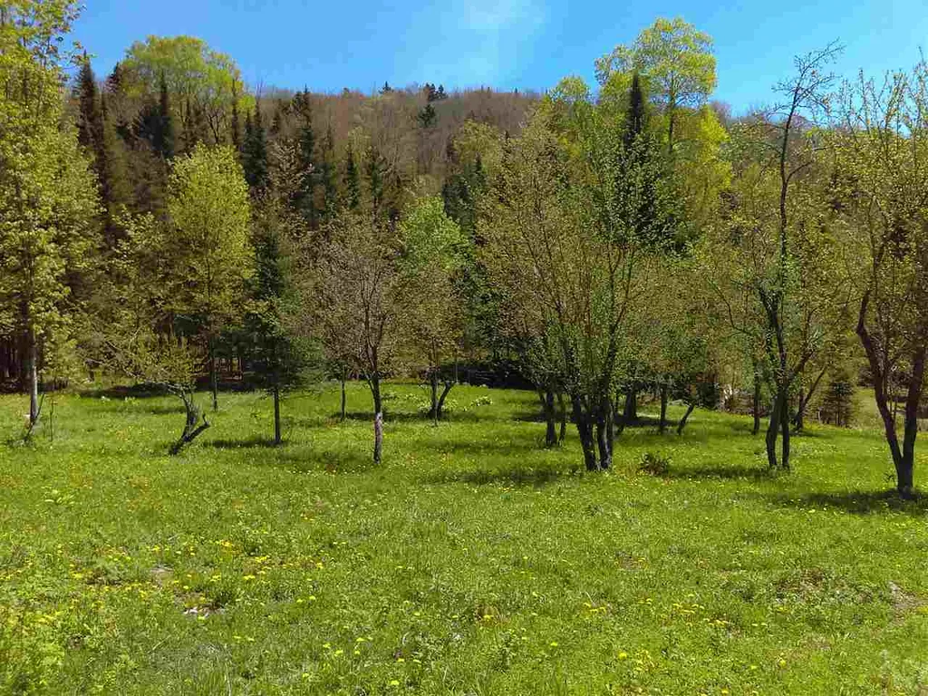 B3-352-1 Town Farm Road Pittsburg NH 03592