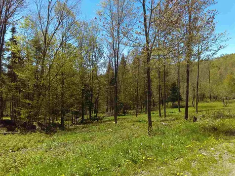 B3-352-1 Town Farm Road Pittsburg NH 03592