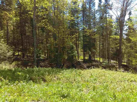 B3-352-1 Town Farm Road Pittsburg NH 03592