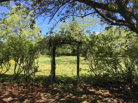 1214 Wheelock Road Sutton VT 05867