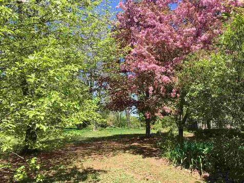 1214 Wheelock Road Sutton VT 05867