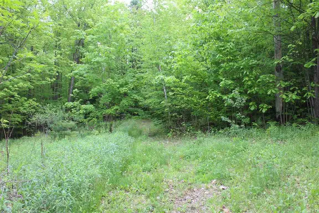 Bible Hill Road Claremont NH 03743