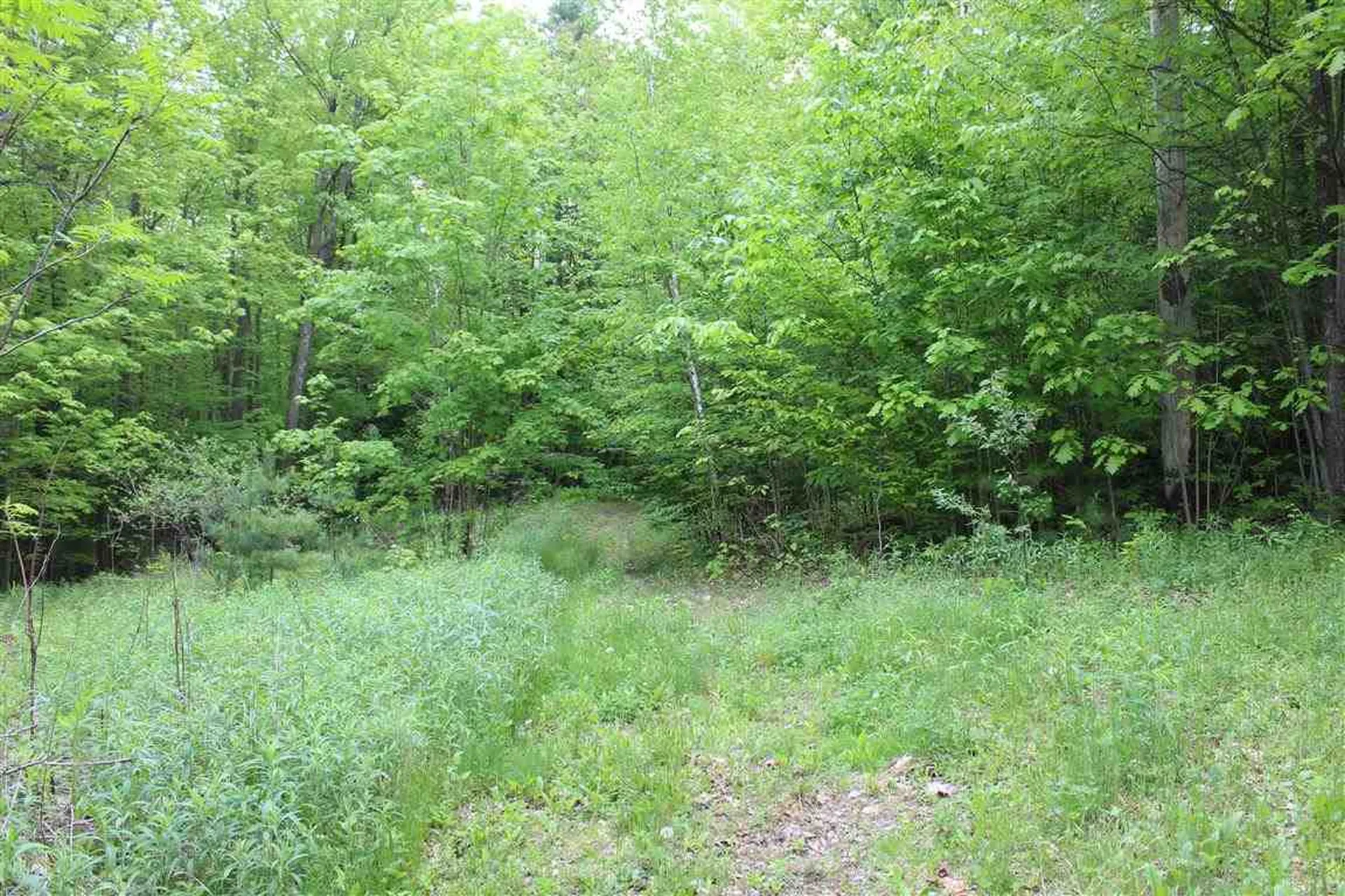 Bible Hill Road Claremont NH 03743