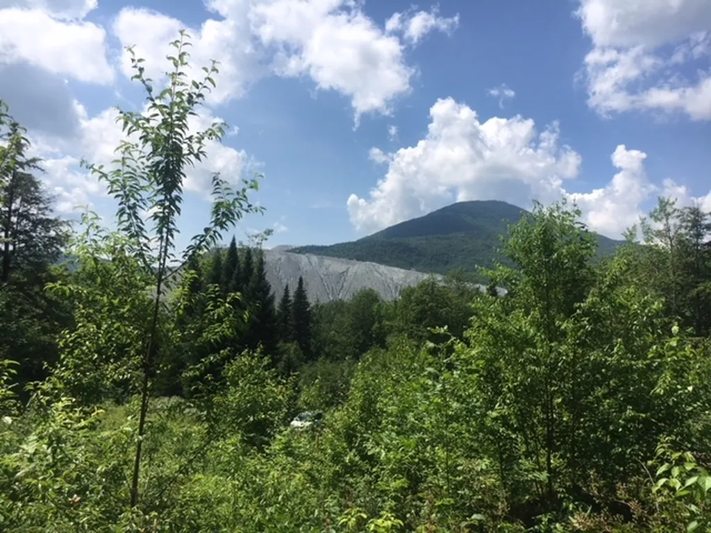 3136 North Road Eden VT 05653
