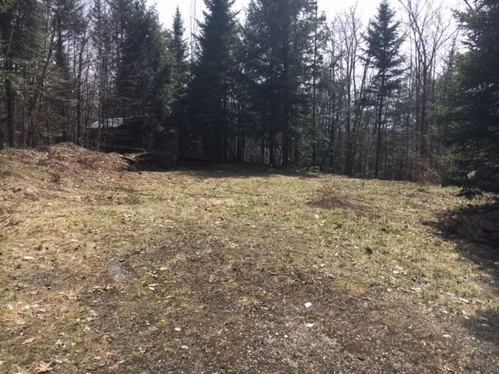 3136 North Road Eden VT 05653