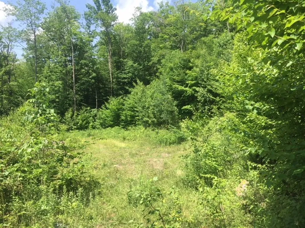 3136 North Road Eden VT 05653